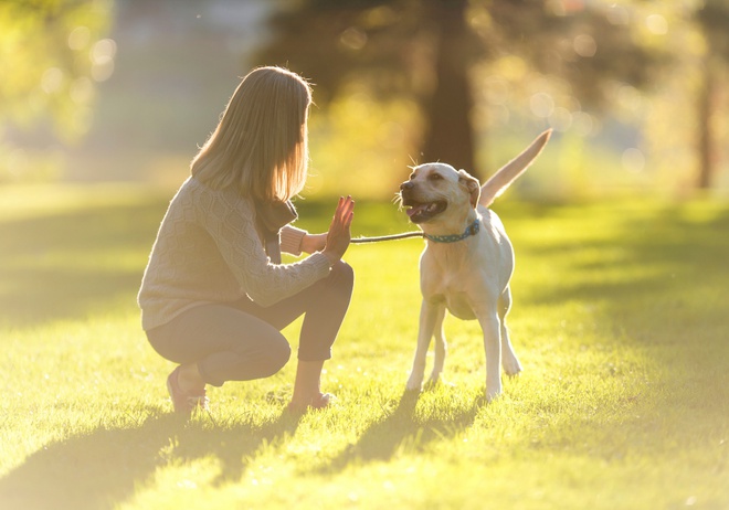 woman teaching dog stay
