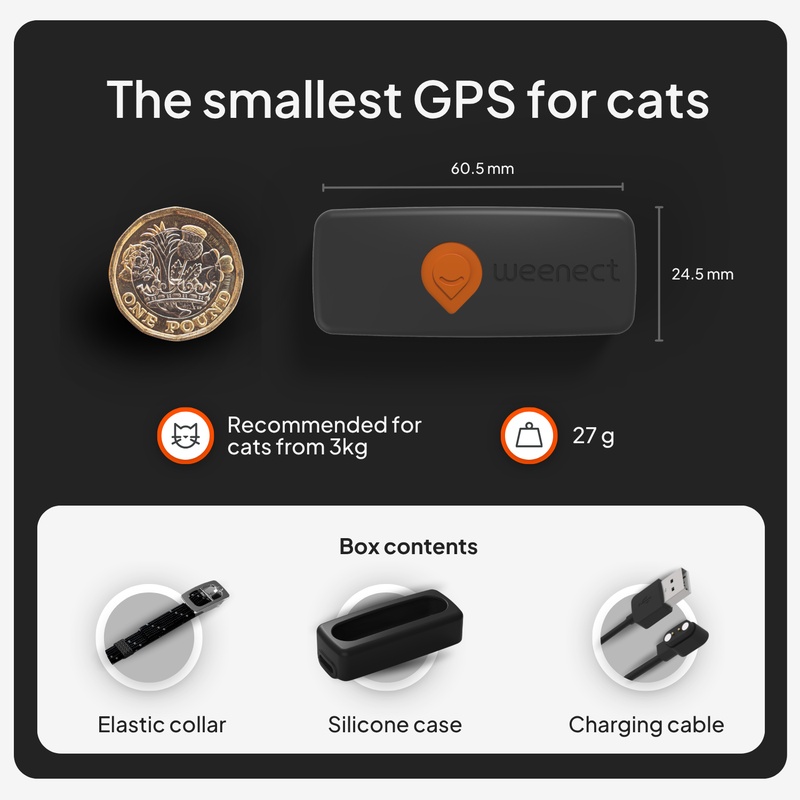 xs cat_black_gallery_uk_pound