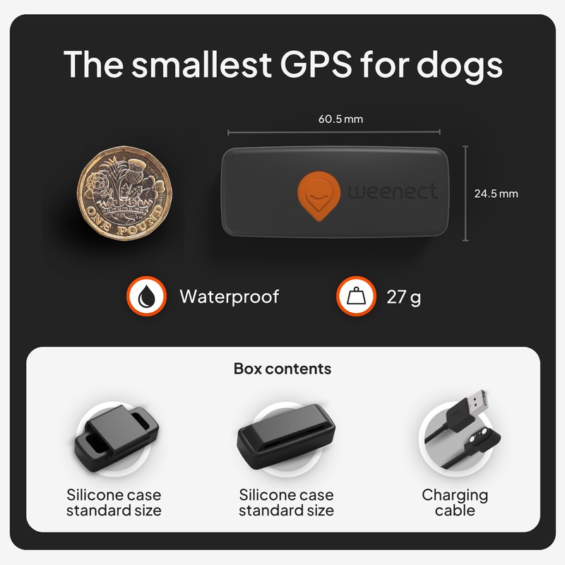 xs dog_black_gallery_uk_pound