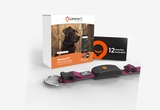 Paket Weenect XT | GPS Tracker für Hunde - Rosa | 1-Jahres-Abo inklusive