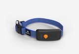 Collare GPS per cani - Weenect XT - Blu
