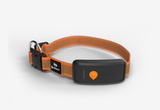 Collare GPS per cani - Weenect XT - Arancione