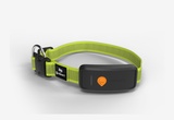 Collare GPS per cani - Weenect XT - Giallo