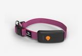 Collare GPS per cani - Weenect XT - Rosa